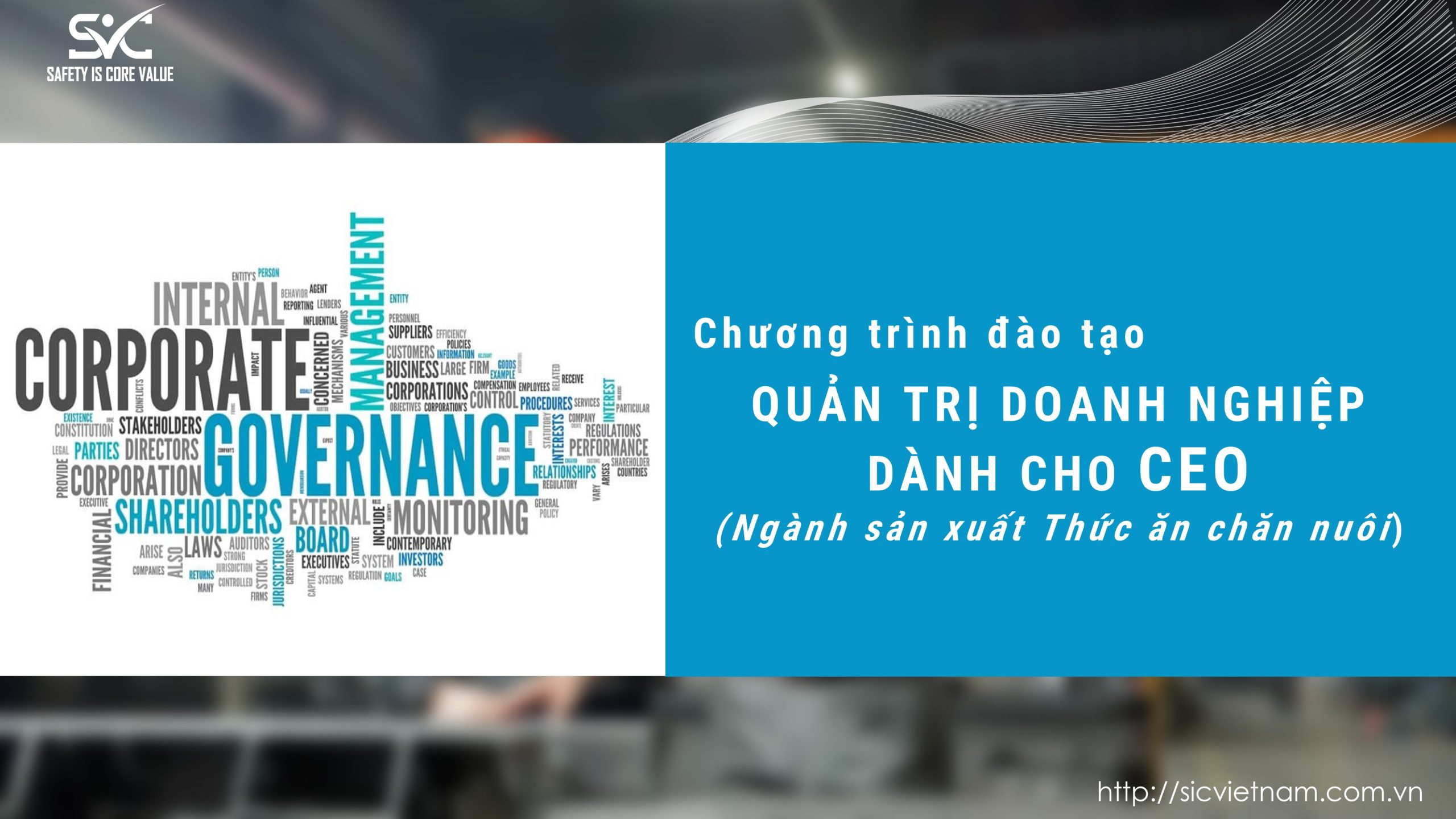 Quản trị doanh nghiệp cho CEO