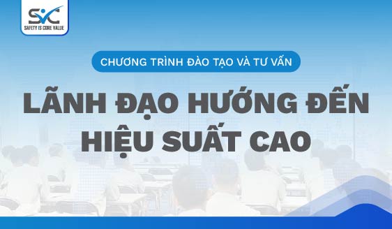Tư vấn, Đào tạo quản trị thực chiến