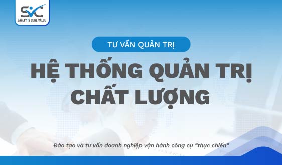 Tư vấn, Đào tạo quản trị thực chiến