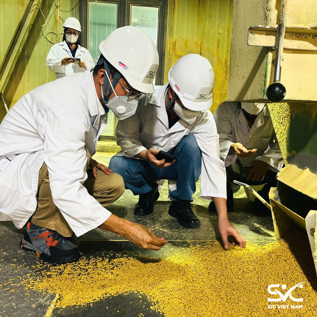 Chuyên gia SIC khảo sát dây chuyền sản xuất thức ăn chăn nuôi tại Bắc Ninh