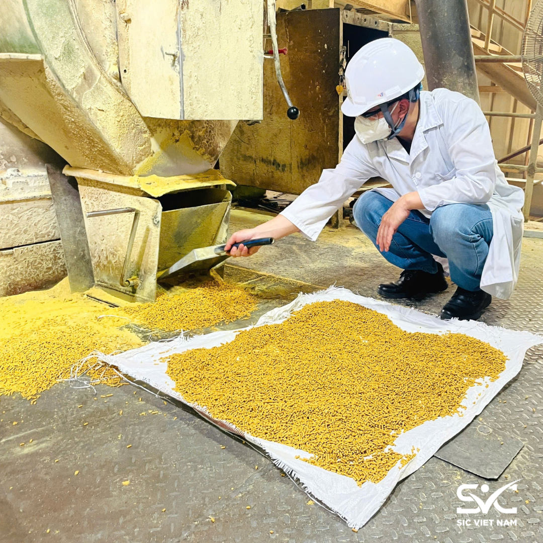 Khảo sát thực tế quy trình sản xuất tại doanh nghiệp Bắc Ninh